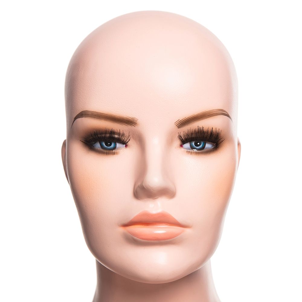 mannequin head with shoulders female for